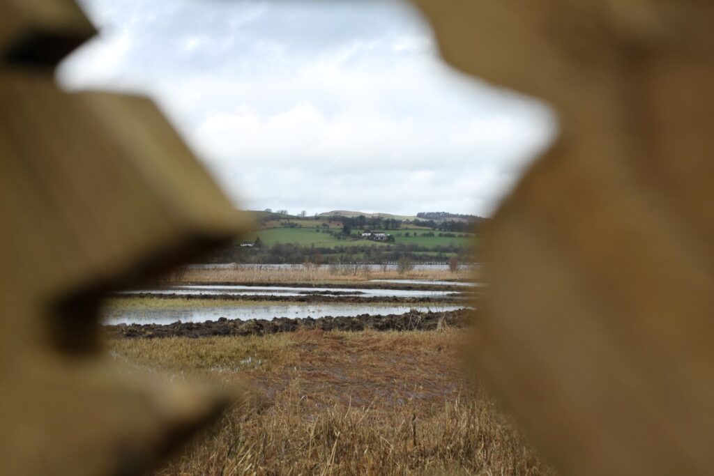Loch on wood, Lochwinnoch, Scotland by Dylan Baliski 31